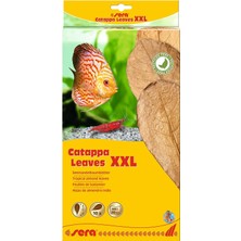 Braventa Collection Catappa Yaprağı Xxl 32 cm