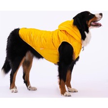 Braventa Collection Pawstar Railway Sarı Su Itici Orta-Büyük Irk Köpek Yelek Yağmurluk (3xl)