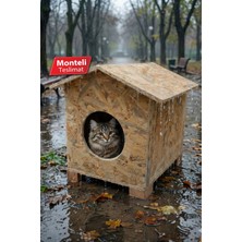 Reyo Kedi Yuvası Yağmura ve Soğuğa Dayanıklı Osb Kedi Evi (Deniz Tutkallı) Monteli Teslimat CAT30