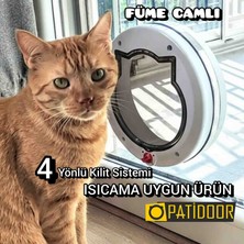 Patidoor Blackcat Pati Xxl Kedi Kapısı / Beyaz / Füme Camlı