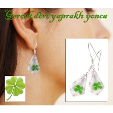 SanalAMCA Store Küpe - Dört Yapraklı Yonca (Gerçek Yonca)