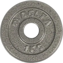 Delta 1 kg Gri Döküm Plaka Ağırlık