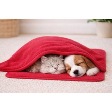 Oumo 70X90 cm Peluş Kedi ve Köpek Yorganı – Yıkanabilir, Taşınabilir, Yumuşak Evcil Hayvan Battaniyesi