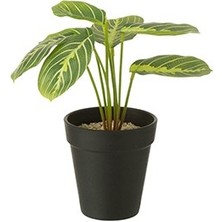 Laromita Decoration Meranto Yapay Bitki / 23 cm