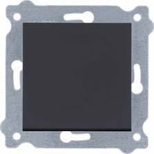 Exen Karel Füme Anahtar (Çerçevesizdir)