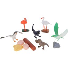 Hak-İş Oyuncak Eğitici Hayvanlar Alemi Kuş Figürleri ve Aksesuar Seti