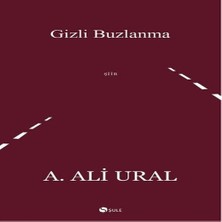 Bilfold Gizli Buzlanma