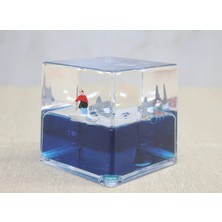 Calperia Batmayan Gemi ALK3415 - Lisinya