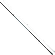 DAIWA CALDIA SEABASS 2.44M 14-42GR 2P KAMIŞ