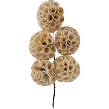 Yapay Çiçek Sitesi 5li Shola Büyük Lotus 40 cm