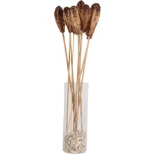 Yapay Çiçek Sitesi 10LU Tropik Mehogany Kuru Çiçek