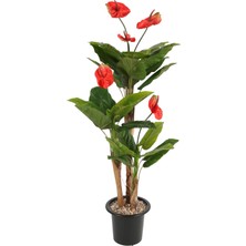 Yapay Çiçek Sitesi Plastik Saksıda Antoryum Ağacı 160 cm (Anthurium)