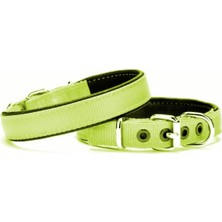 SHC4200 Yumuşak Doku Köpek Boyun Tasması 2/45 cm Yeşil
