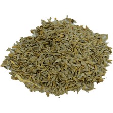 LTG Nova Marul Tohumu Doğal Göbekli 100 gr Paket