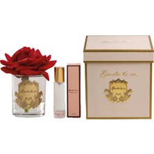 Guerlie and Co. Kırmızı Tek Gül Gold