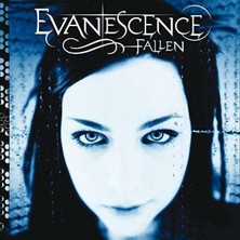 Gereksiz Şeyler Evanescence Fallen Plak