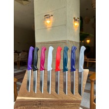 Solingen Tırtıklı Simli Serisi 8 Renk Deliksiz Meyvebıçağı