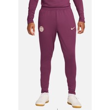 Nike Paris Saint-Germain Dri-Fit Strike SU24 Erkek Eşofman Altı Mor