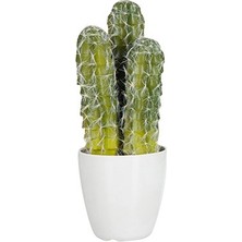 Laromita Decoration Saksılı Üç Dal Kaktüs / Dikensiz