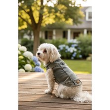 Empati Küçük Irk Köpek Için Jean Yelek L (5 Kg-7 kg Arasına Uygun)