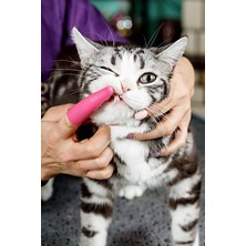 Gampus Parmağa Takılan Diş Fırçası Kedi Köpek Diş Kaşıyıcı Diş Temizleyici Portatif Fırça