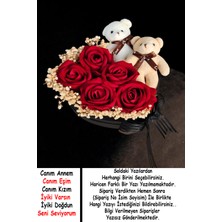 Mynil Kalpli Kutuda Yapay Kadife Gül ve Ayıcık Detaylı Doğum Günü Sevgiliye Özel Gün Hediyesi