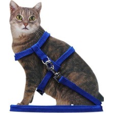 Gampus 120 cm Ayarlanabilir Kedi Yürütme Tasması Göğüs Kemeri Gezdirme Kayışı