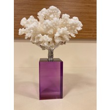 Plus Home Dekoratif Mor Kristal ve Gümüş Pirinç Makaralı Doğal Mercan Yükseklik 18 cm