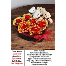 Mynil Sevgiliye Ledli Sonsuzluk Gülü Ayıcıklı Doğum Günü Özel Gün Hediyesi