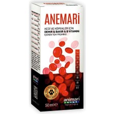 Pazarcan Animari Demir Bakır B Vitamini Damlası 50 ml