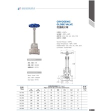 FEILUN / DN 25 / Cryogenic Paslanmaz Vana /40BAR /BEYAZ VOLANLI