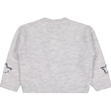 Civil Girls Pullu Yıldız Nakışlı 2-5 Yaş Hırka - Gri 5-6 Yaş