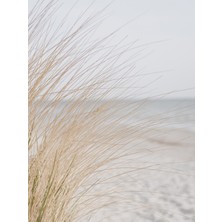 Fuart.Co Ada Rüyası Kumsal Temalı Dijital Baskı Poster (Çerçevesiz) Kufu