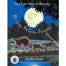 Binbir Göz Kitap Minik Rakun Bir Cep Dolusu Öpücük