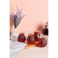 Berdina Home 6'lı Çizgili Keyfi Ala Borosilikat Cam Bardak Takımı Isıya Dayanıklı Kulpsuz Çay Bardağı Seti