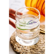 Gülümseten Avm 6 Lı Borosilikat Cam Dalgalı Bardak | Kahve Sunum Bardağı | Cam Şerit Bardak - Şeffaf