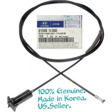 Orjinal Volkswagen Golf5 Jetta 2004 2010 Kaput Teli Arka  (Oem NO:1K1823535A)