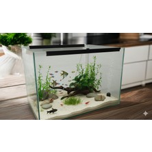 Partnova Akvaryum Buhar Cam Aparatı