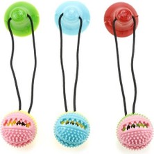 Petesia Cama Yapıştırmalı Köpek Oyun Topu 34 cm