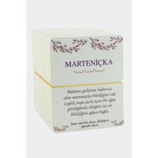 SHC4200 Marteniçka Bileklik Kartı