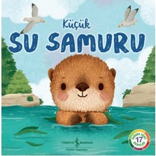 SHC4200 Küçük Su Samuru