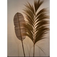 Bambu Pampas Püskül Saçak Dekoratif Vazo Duvar Ev Ofis Süsü, Bohem Dekor, El Yapımı, Kuru Çiçek