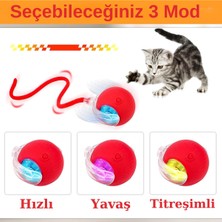 Colezium Hareketli Şarjlı Işıklı 360 Derece Dönen Akıllı Oyun Topu Kuyruklu Interaktif Kedi Köpek Oyun Topu