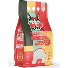 Colezium R Portakal Kokulu Ince Taneli Kedi Kumu 10 Lt