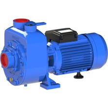 Sumak DSMT300/2 3 Hp Kendinden Klapeli Santrifüj Pompa 380v Trifaze