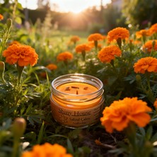 Shiny House Doğal Soya Mum – Sakral Çakra | Portakal & Ylang Ylang Kokulu