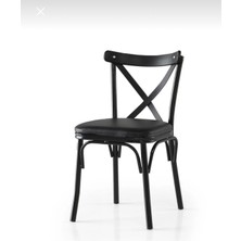 Vogue Tasarım ve Aksesuar Sandalye Şık Ekonomik Sıcak Tamamlayıcı