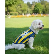 PuluPulu Isim ve Numara Yazilabilen Kedi ve Köpek Forması