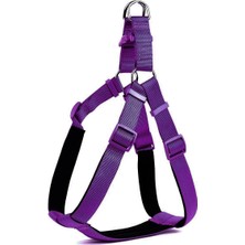 Bigelal Köpek Bel Tasması 3cm-75 x 85 cm 3x-Large Mor