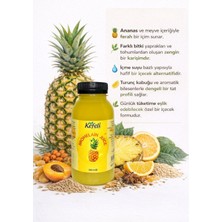 Kefeli Gürme Ananaslı Detox Shot 250ML (12ADET)